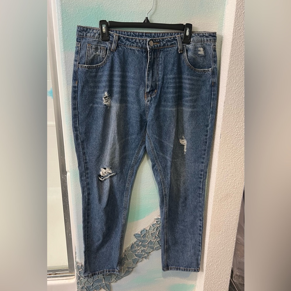 SHEIN Blue Distressed Jeans